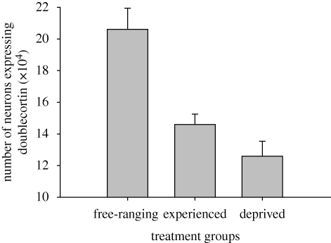 Figure 2.