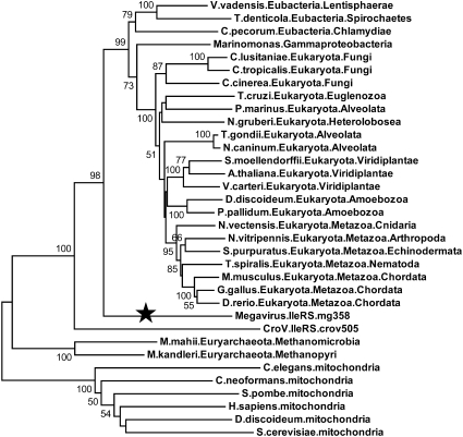 Fig 3.