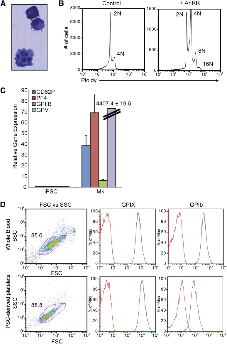 Figure 7