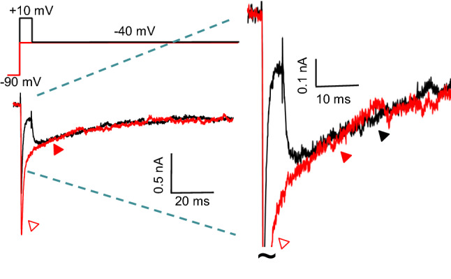 Fig. 4