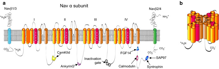 Fig. 3