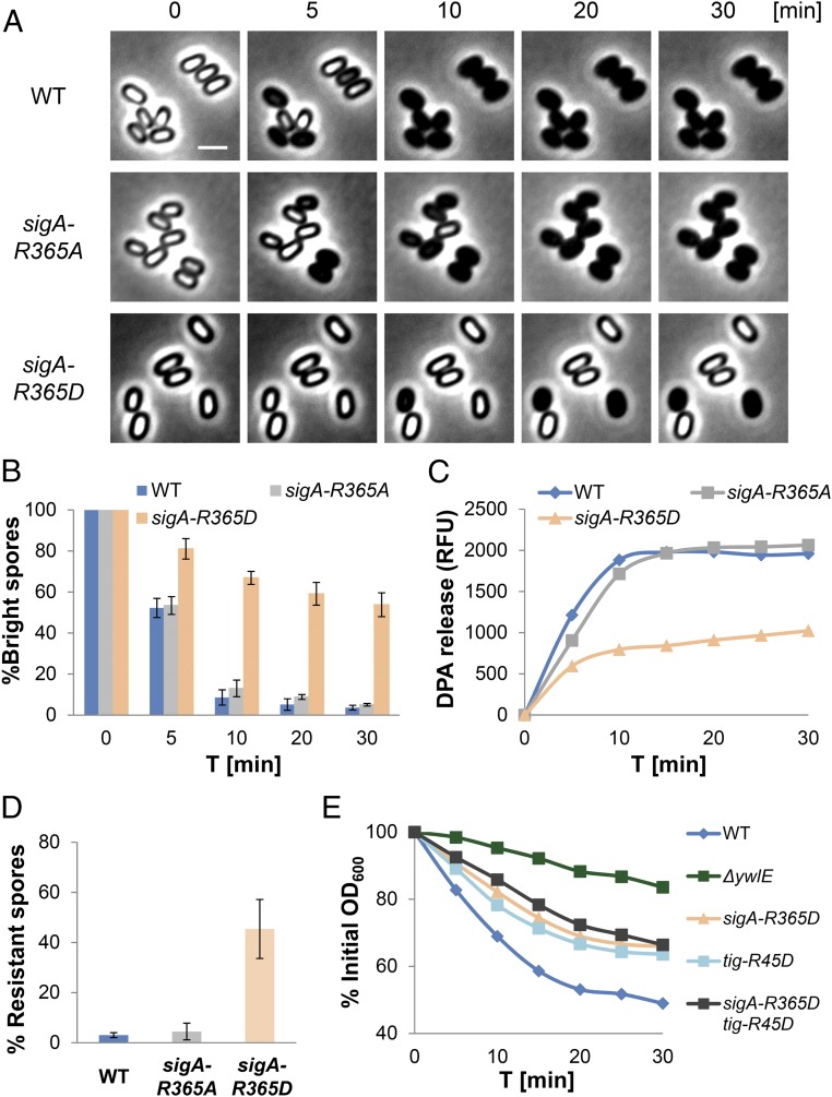 Fig. 4.