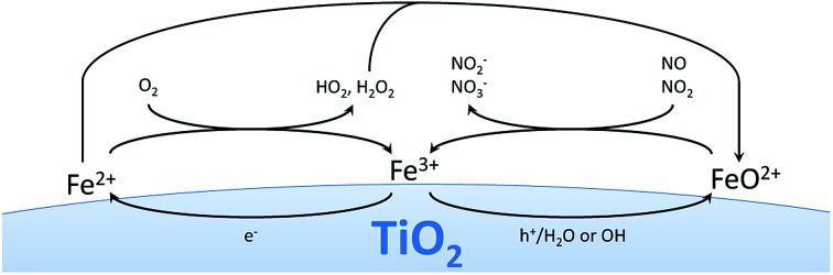 Fig. 10