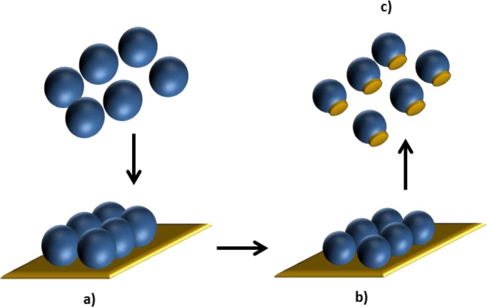 Figure 11.