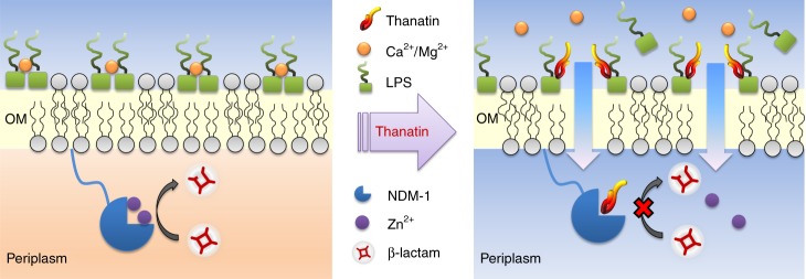 Fig. 7