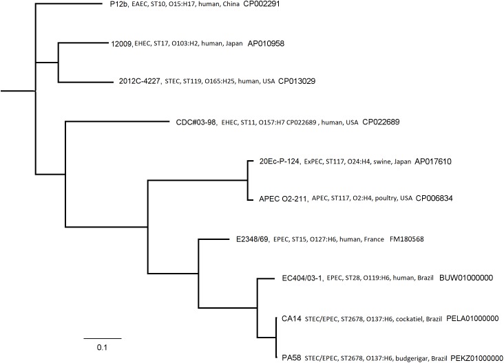 FIGURE 3