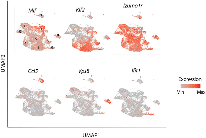 Extended Data Fig. 4