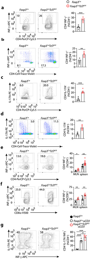 Figure 6: