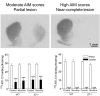 Fig. 8.