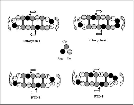 FIG. 4.