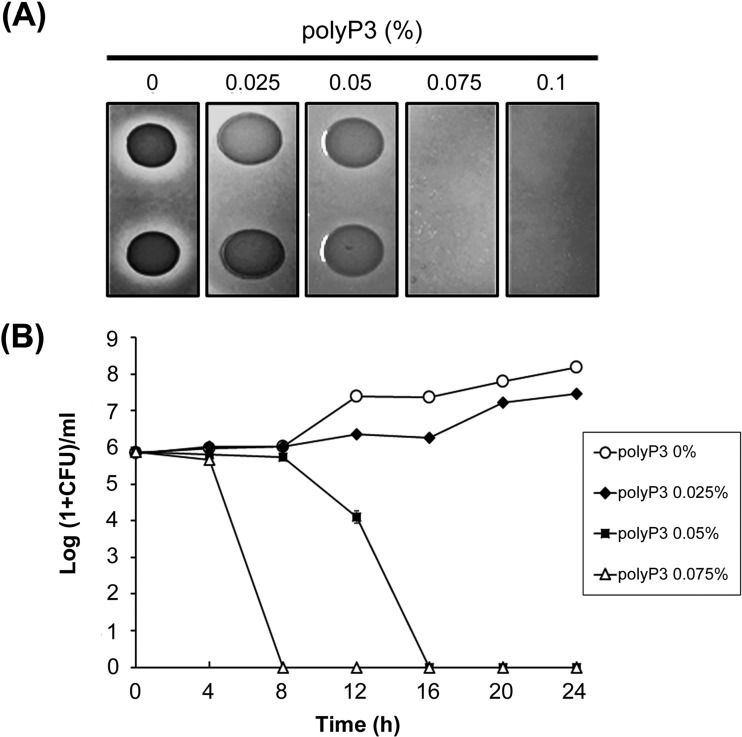 FIG 1