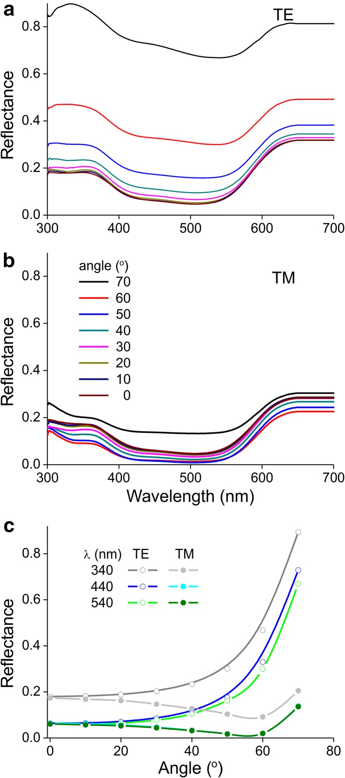 Fig. 8