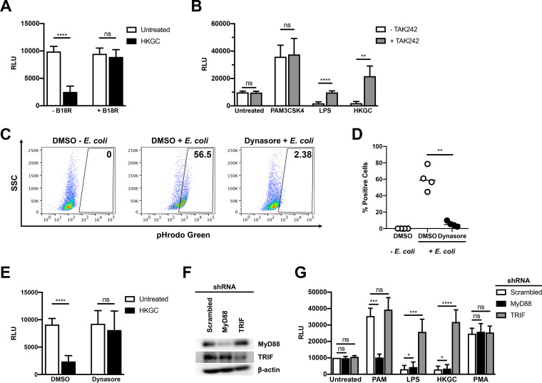 FIG 4