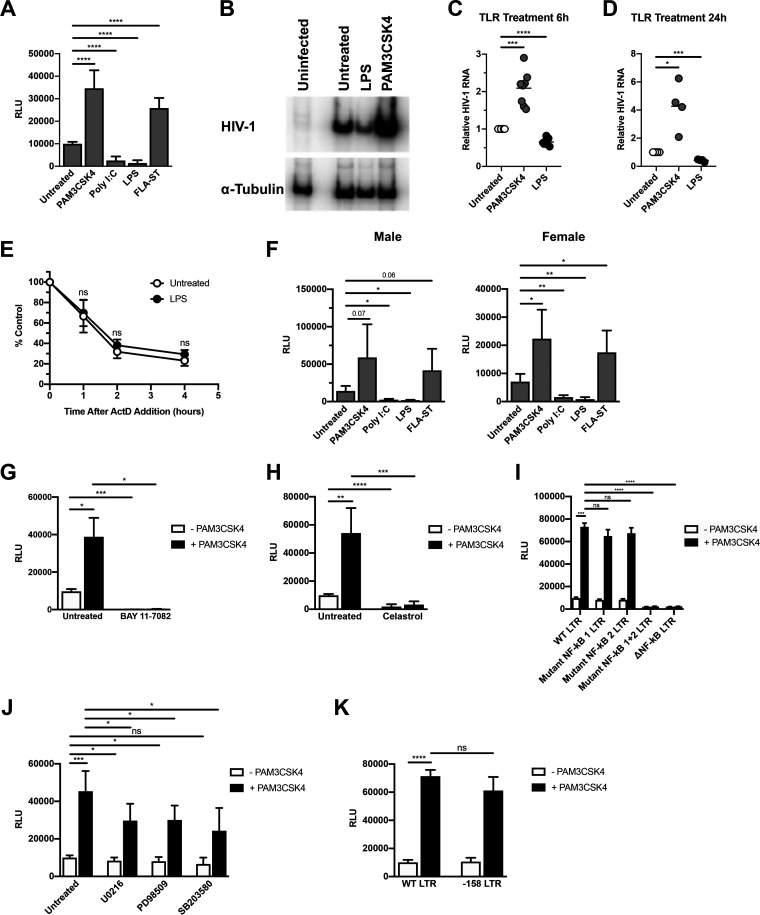 FIG 1