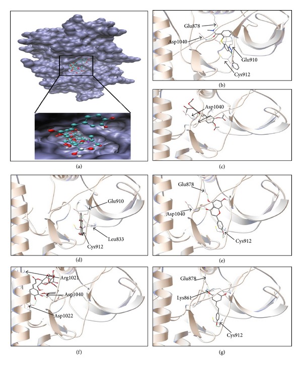 Figure 6