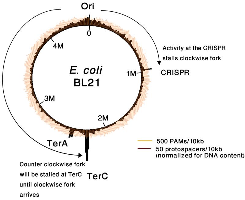 Extended Data Figure 4.