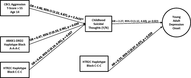 Figure 4: