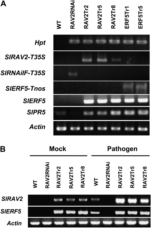 Figure 7.