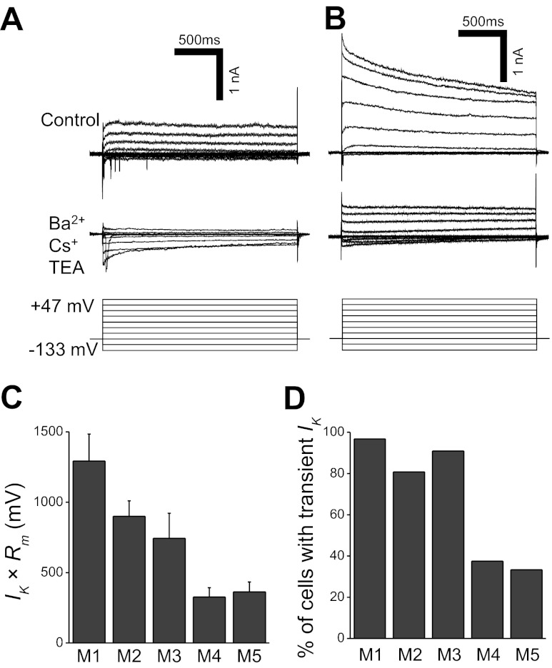 Fig. 8.