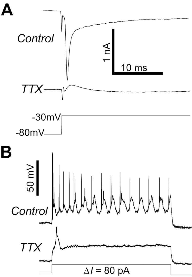 Fig. 7.