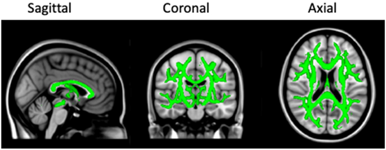 Figure 1.