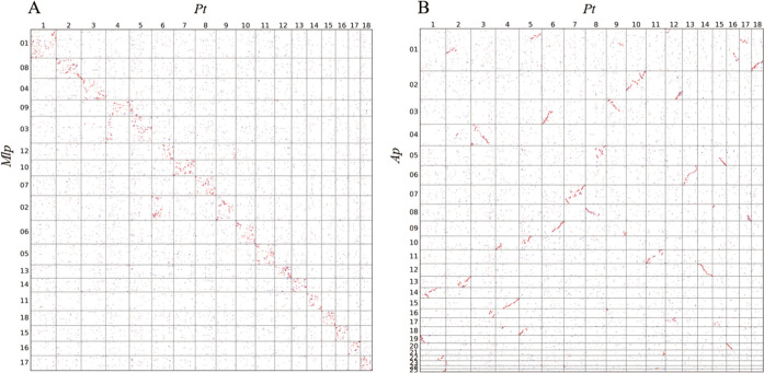 FIG 6