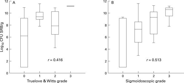 Figure 1  