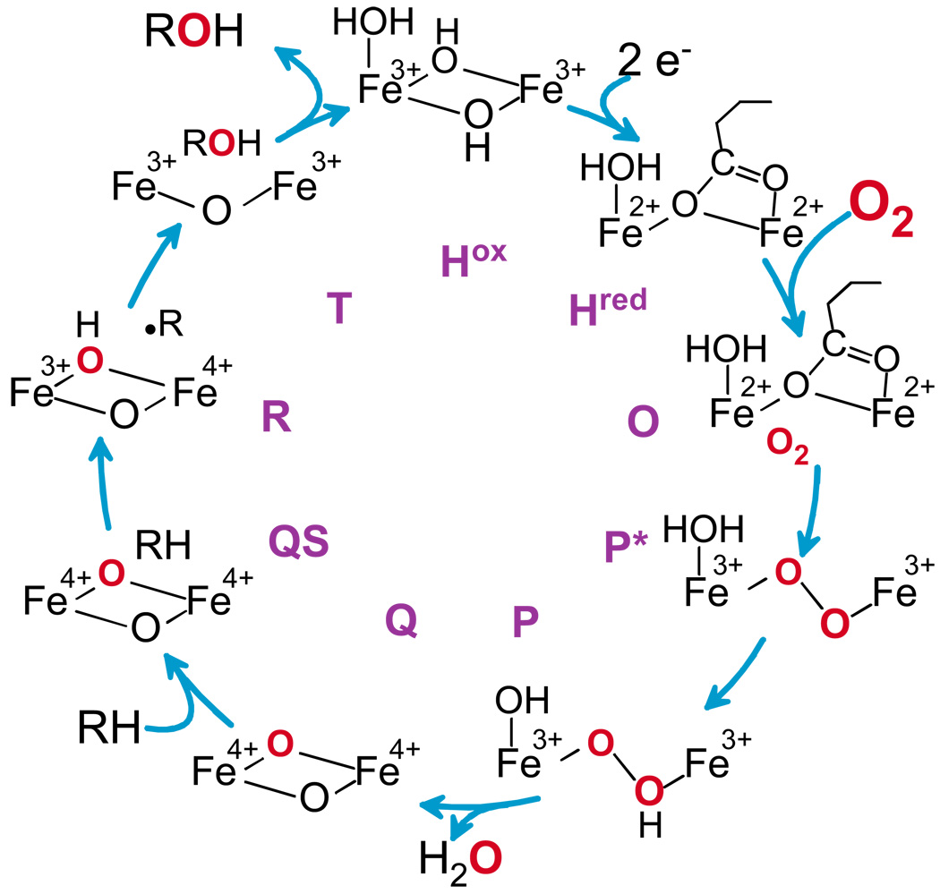 FIGURE 9