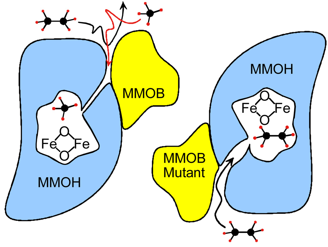 FIGURE 11