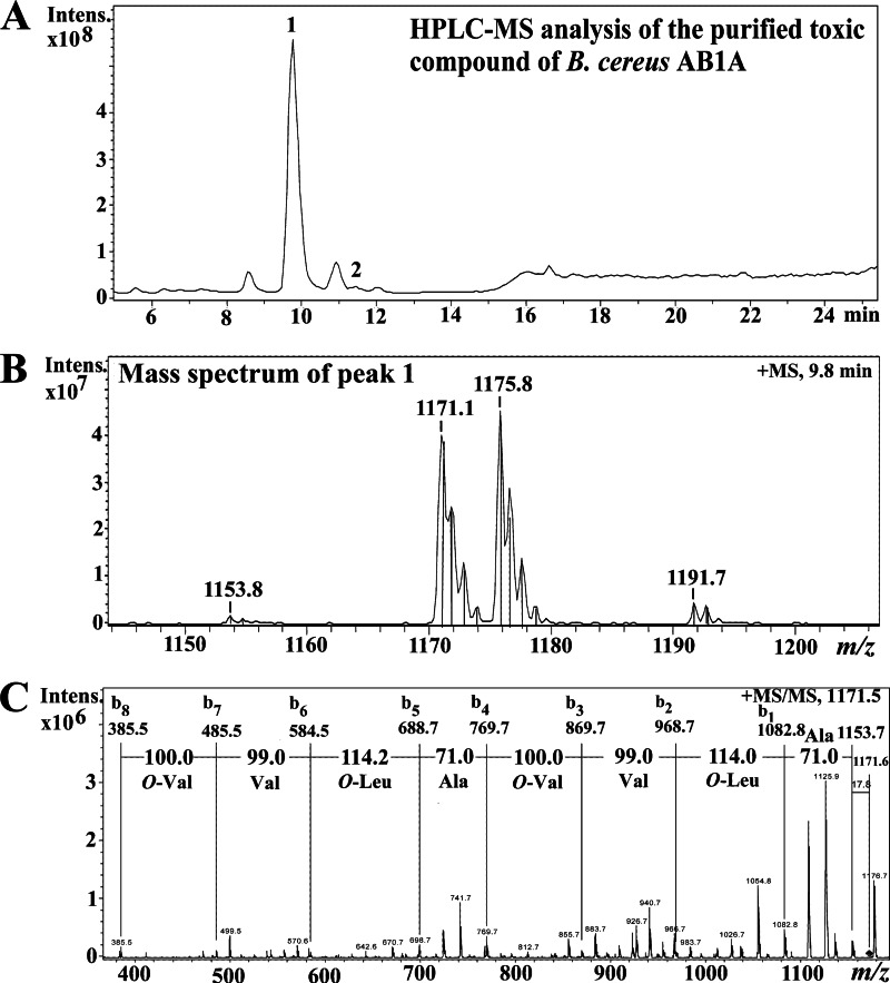 Fig 3