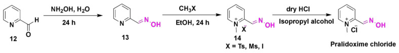 Scheme 1