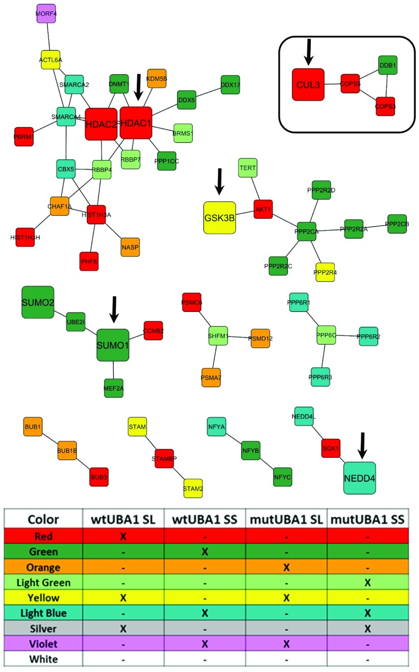 Figure 3. 