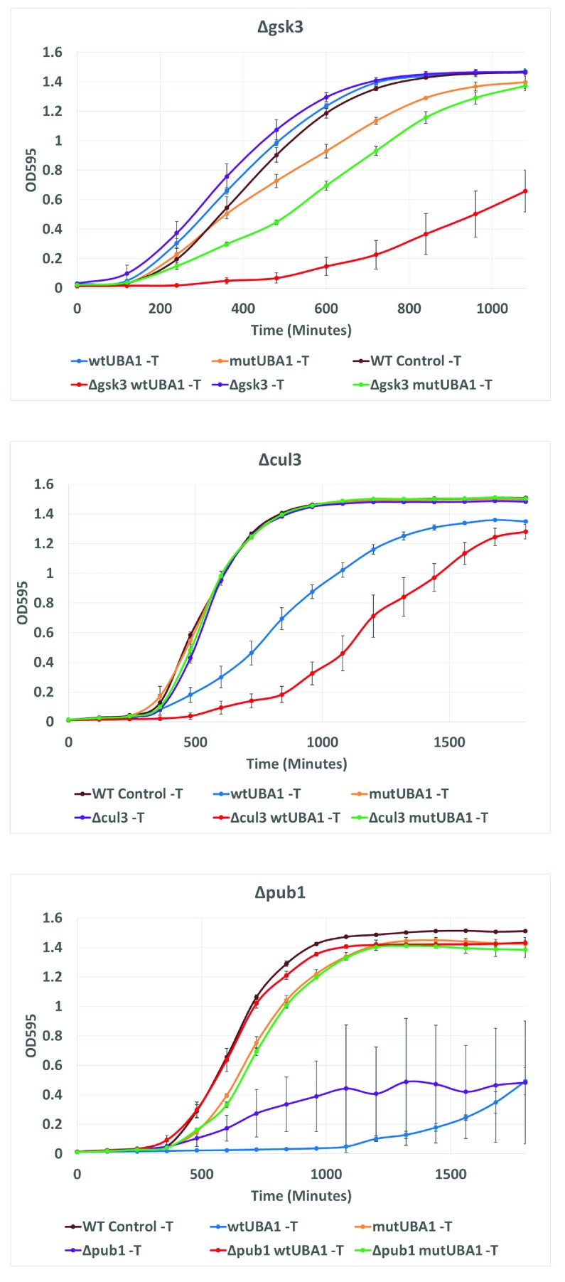 Figure S4. 