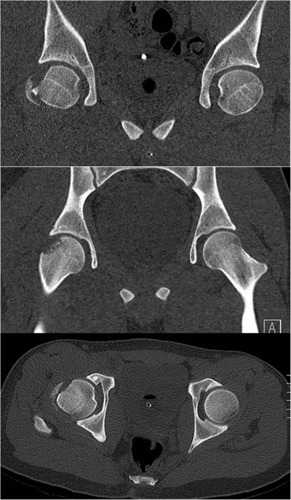 Fig. 3