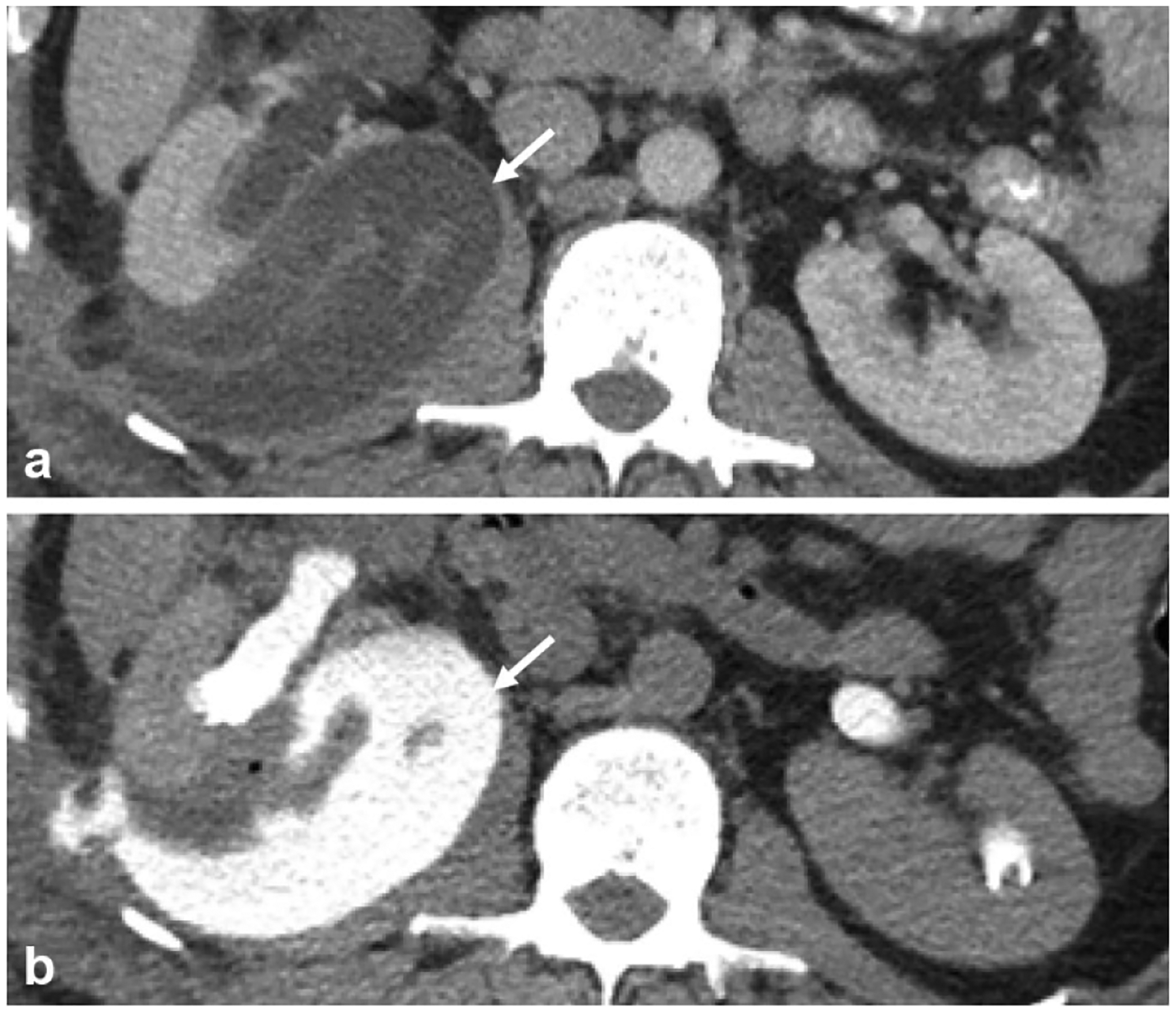 Fig. 8