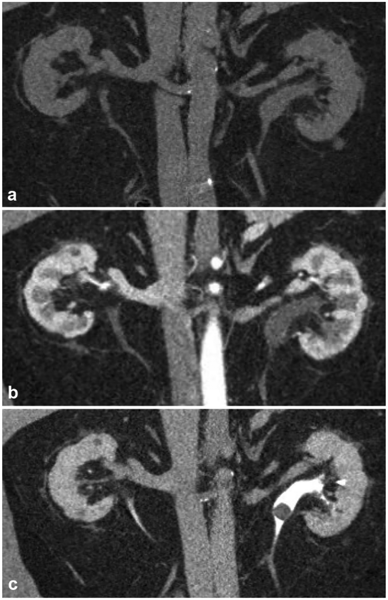 Fig. 10