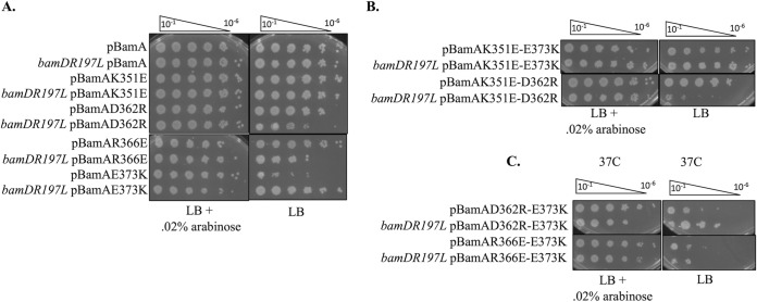 FIG 2