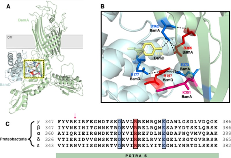 FIG 1