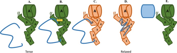 FIG 5