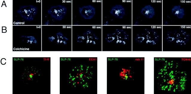 Figure 10.