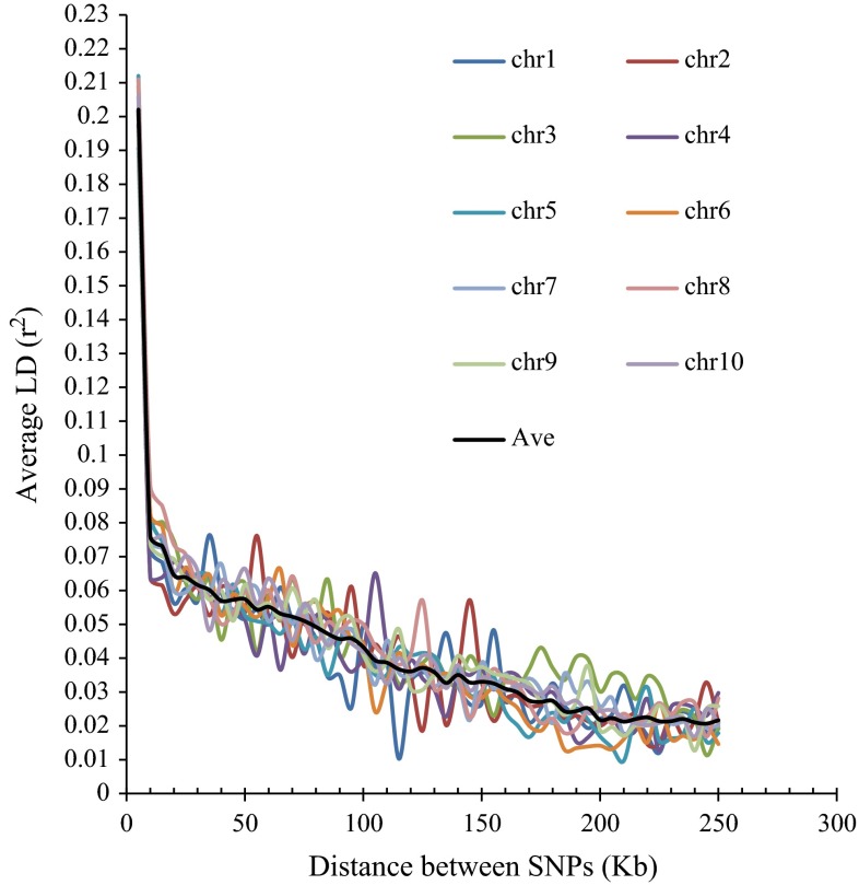 Fig. 3