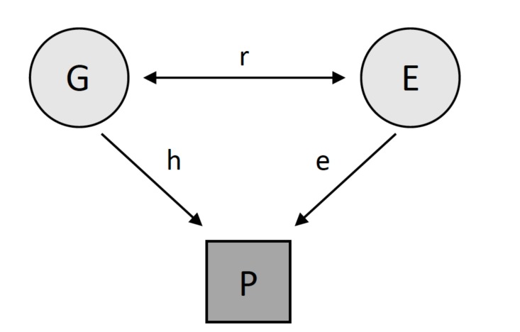 Fig. (1)