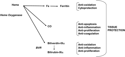 Scheme 2.