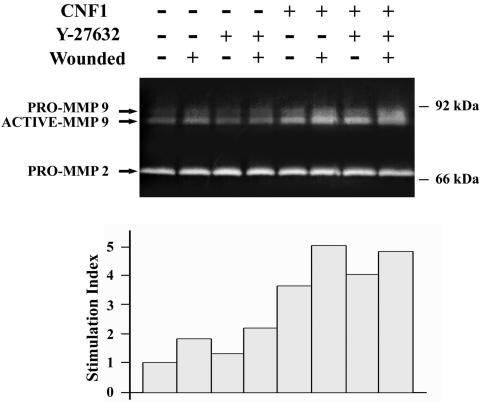 FIG. 8.