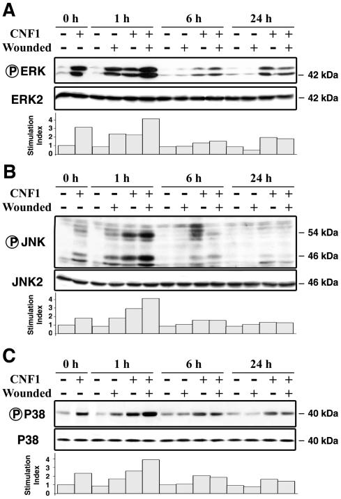 FIG. 7.