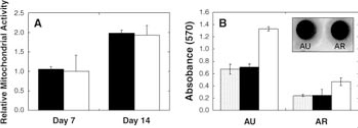 FIG. 5.