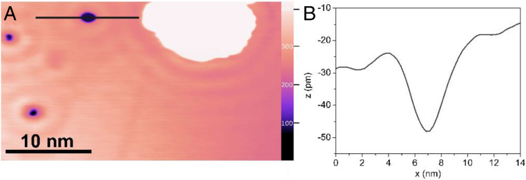 Fig. 5.