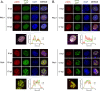 FIG 3