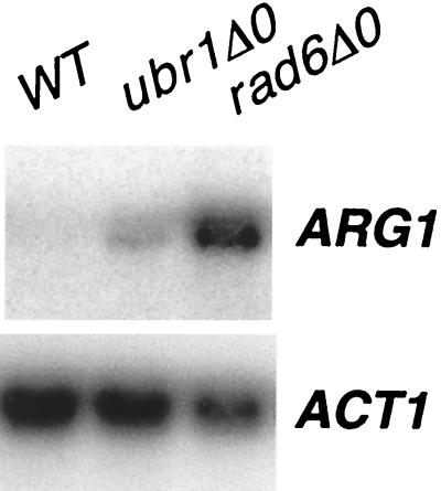 FIG. 6.