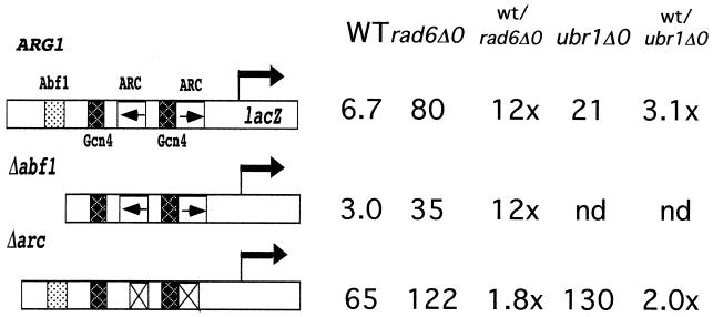 FIG. 7.